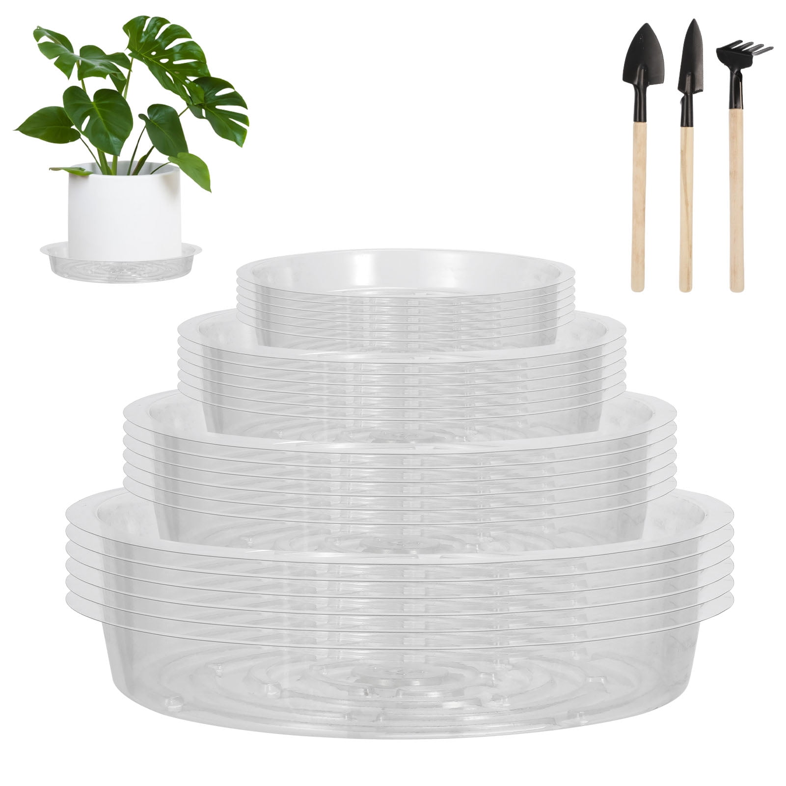 Hengguang 24 Pack Plant Saucer Tray with Rake Suits, 6 8 10 12 inch 4