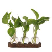 Hengguang 3PCS Plant Propagation Glass Vase Station,Desktop Retro Plant Terrarium with Wooden Tray, Bulb Flower Vase Container for Propagating Hydroponic Plants Home Office Decor