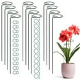 thumbnail image 1 of Hengguang Plant Support Stakes, 12pcs 40cm Single Stem Plant Supports, Plant Cage Support Ring with 24Pieces Plant Clips for Climbing Plants Garden Stakes for Amaryllis Orchid Lily Rose Tomatoes, 1 of 7