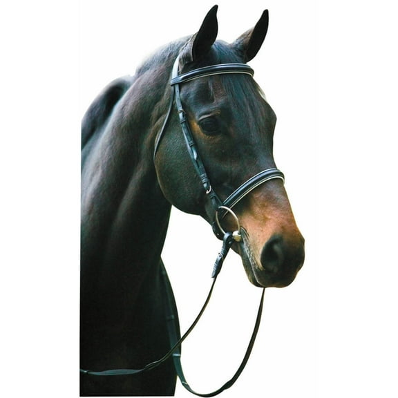 Henri De Rivel Dressage Bridle Horse Blk/Wht