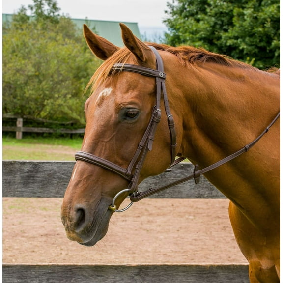 Henri De Rivel Kushy Fancy Stich Leather Bridle
