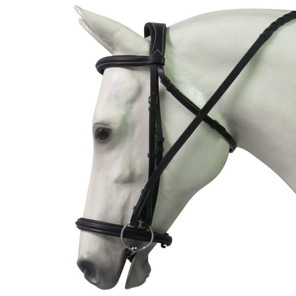 Henri de Rivel Pro Mono Crown Padded Bridle