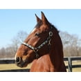 thumbnail image 1 of Henri de Rivel Advantage Leather Halter, 1 of 1