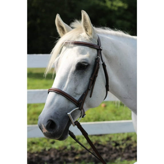 Henri de Rivel Advantage Plain Raised Bridle with Laced Reins