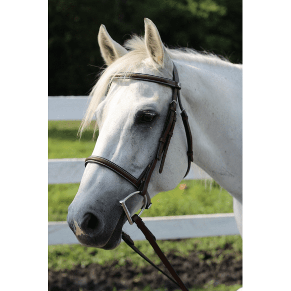 Henri de Rivel Advantage Plain Raised Snaffle Bridle With Laced Reins - Australian Nut - Cob