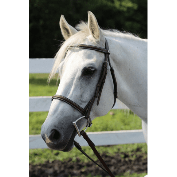 Henri de Rivel Advantage Plain Raised Snaffle Bridle With Laced Reins Horse Australian Nut