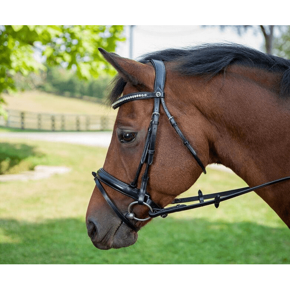 Henri de Rivel Diamonte Dressage Bridle