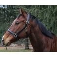 thumbnail image 1 of Henri de Rivel Everyday Halter, 1 of 3
