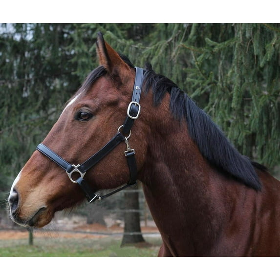 Henri de Rivel Everyday Halter