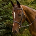 thumbnail image 1 of Henri de Rivel Advantage Fancy Raised Padded Bridle with Laced Reins, 1 of 3