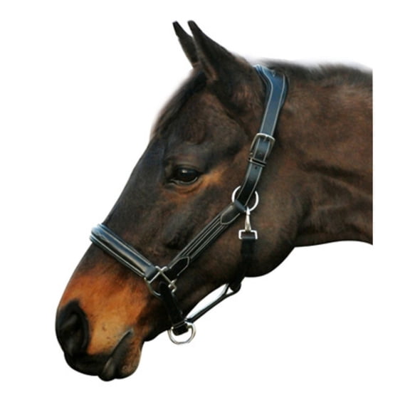 Henri de Rivel Fancy Stree-Free Leather Halter with Patent Piping