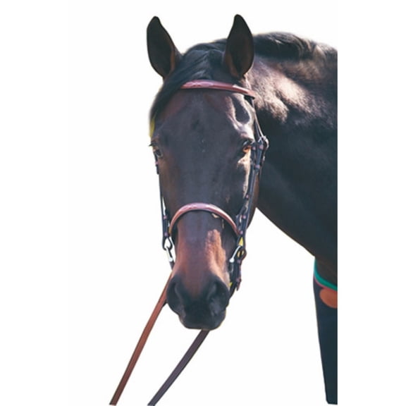 Henri de Rivel HDR Adv Fancy Raised Snaffle Leather Bridle with Laced Reins