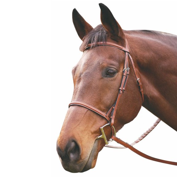 Henri de Rivel HDR Adv Plain Raised Snaffle Leather Bridle with Laced Reins