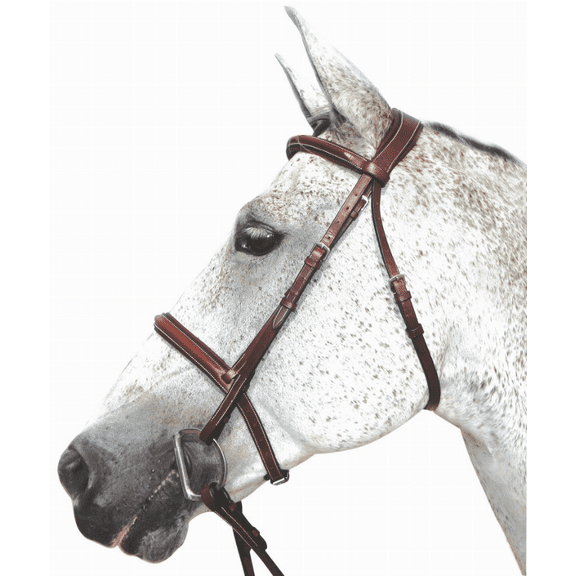 Henri de Rivel Pro Mono Crown Padded Bridle