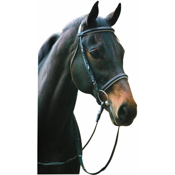 Henri de Rivel Pro Padded Dressage Bridle with Web Reins