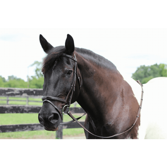 Henri de Rivel Pro Piaffe Mono Crown Bridle with Flash Noseband with Patent Leather