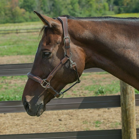 Henri de Rivel Stress Free Halter With Fancy Contrast Stitching - Australian Nut - Horse
