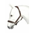 thumbnail image 1 of Henri de Rivel Stress Free Halter with Fancy Contrast Stitching, 1 of 5