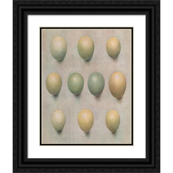 Henrik Gronvold 20x24 Black Ornate Framed Double Matted Museum Art Print Titled: Eggs of British Diving Ducks (1913)