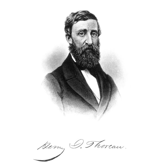 Henry David Thoreau N(1817-1862). American Writer. Steel Engraving After A Photograph Taken In 1861. Print by