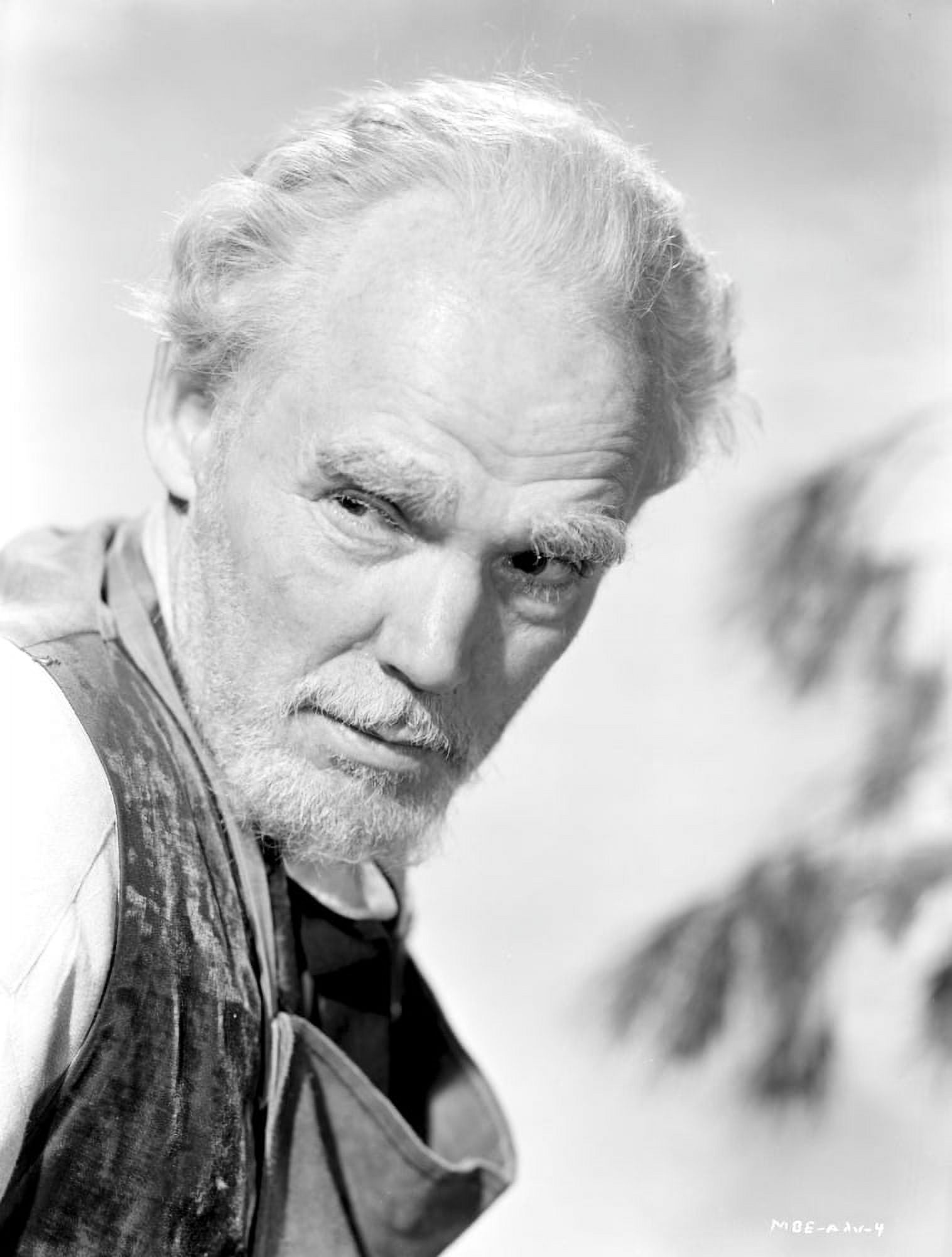 Henry Hull Photo Print (8 x 10)