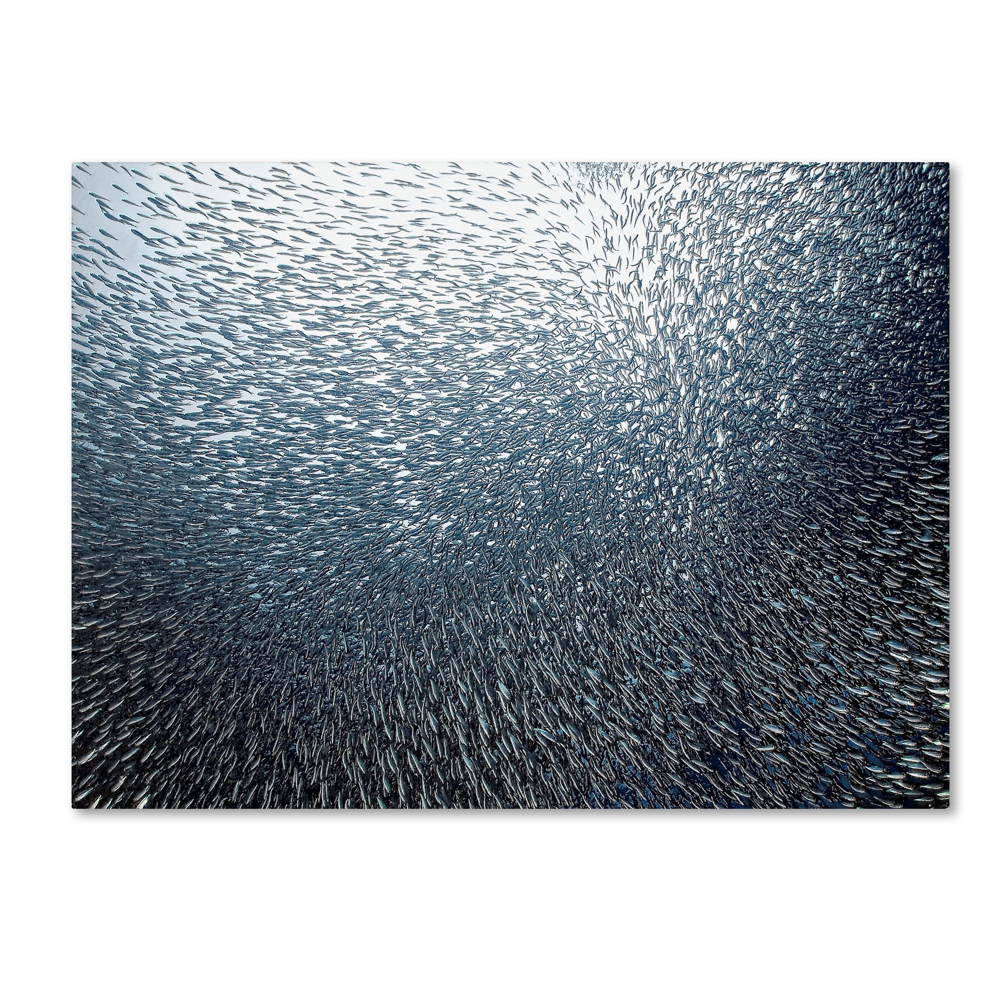 Sardines Firework Framed Canvas Art in Blue and White