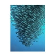 thumbnail image 1 of Henry Jager 'Schooling Jackfishes' Canvas Art, 1 of 4