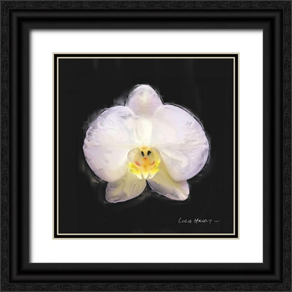 Henry, Lola 15x15 Black Ornate Wood Framed with Double Matting Museum Art Print Titled - Vibrant Flower IV