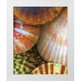 thumbnail image 1 of Henry, Lola 15x18 White Modern Wood Framed Museum Art Print Titled - Shell Extraction III, 1 of 4