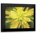 thumbnail image 1 of Henry, Lola 18x15 Black Modern Framed Museum Art Print Titled - Painterly Flower VII, 1 of 5