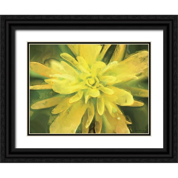 Henry, Lola 24x19 Black Ornate Wood Framed with Double Matting Museum Art Print Titled - Painterly Flower VII