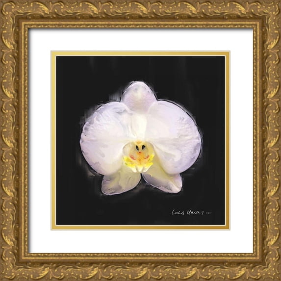 Henry, Lola 26x26 Gold Ornate Wood Framed with Double Matting Museum Art Print Titled - Vibrant Flower IV