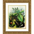 thumbnail image 1 of Henry Noel Humphreys 15x18 Gold Ornate Wood Frame and Double Matted Museum Art Print Titled - The Butterfly Vivarium or Insect Home Pl 6 (1858), 1 of 4