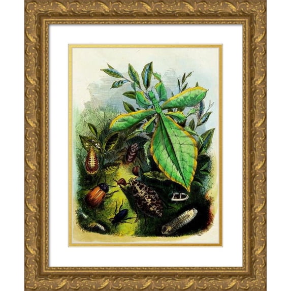Henry Noel Humphreys 15x18 Gold Ornate Wood Frame and Double Matted Museum Art Print Titled - The Butterfly Vivarium or Insect Home Pl 6 (1858)