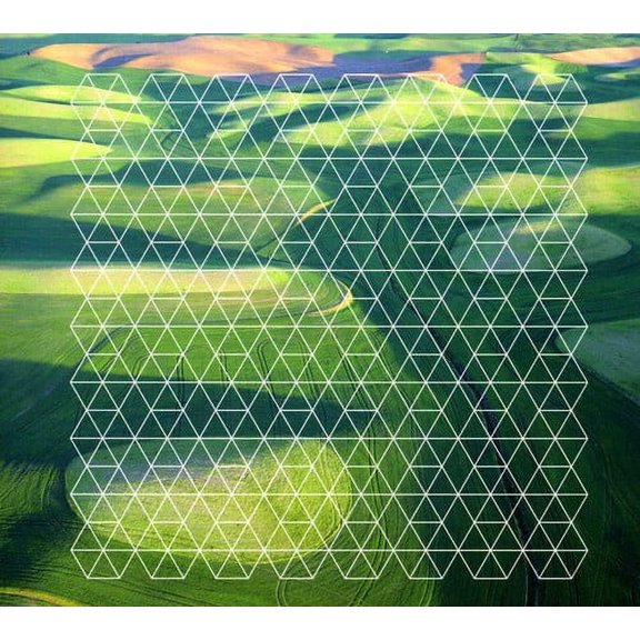 Henry Plotnick - Fields - Alternative - CD
