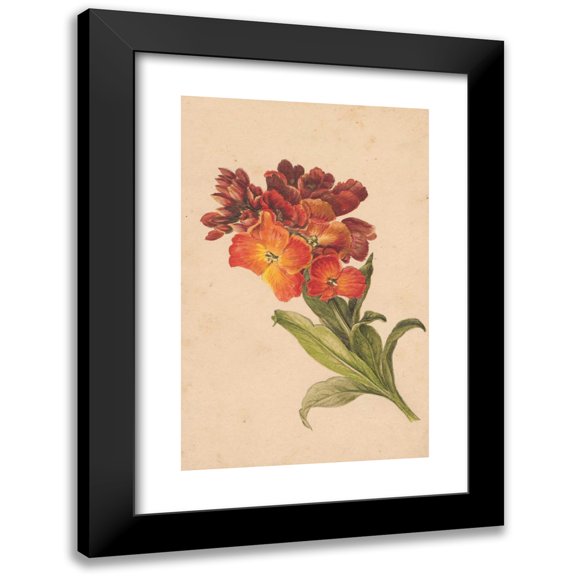 Henryka Beyer 11x14 Black Modern Framed Museum Art Print Titled - Brane Branch (1810)