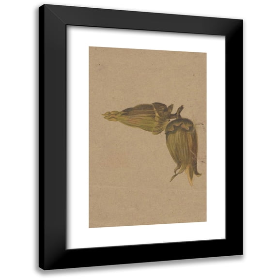 Henryka Beyer 11x14 Black Modern Framed Museum Art Print Titled - Study of Hazelnuts (Ca 1820)