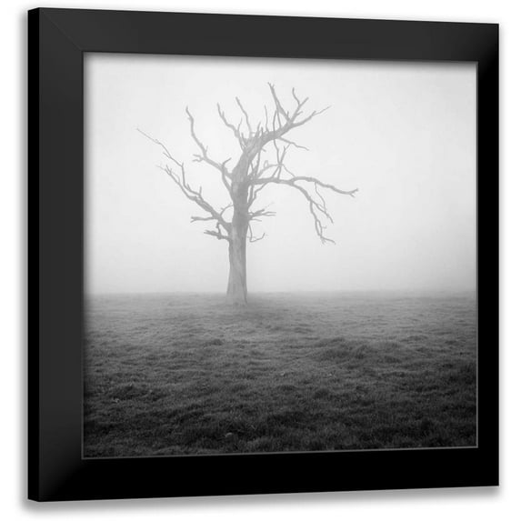 Henson, Martin 12x12 Black Modern Framed Museum Art Print Titled - Misty Weather II