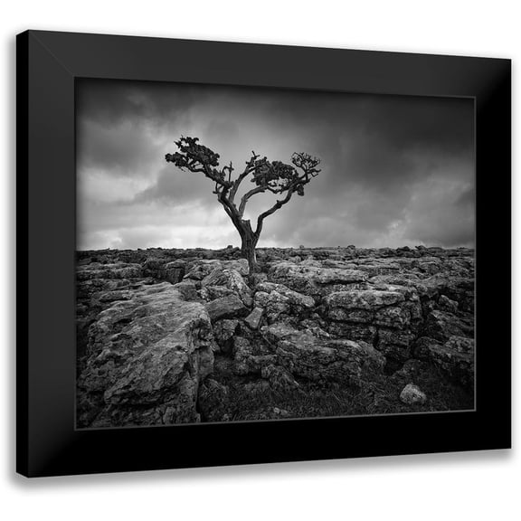 Henson, Martin 14x12 Black Modern Framed Museum Art Print Titled - Pavement and Tree II