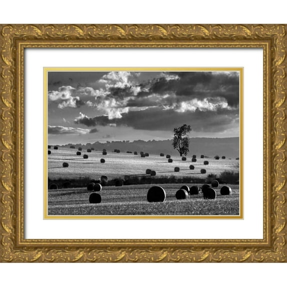 Henson, Martin 14x12 Gold Ornate Wood Framed with Double Matting Museum Art Print Titled - Rolls of Hay