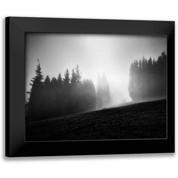 Henson, Martin 18x15 Black Modern Framed Museum Art Print Titled - Misty Weather III