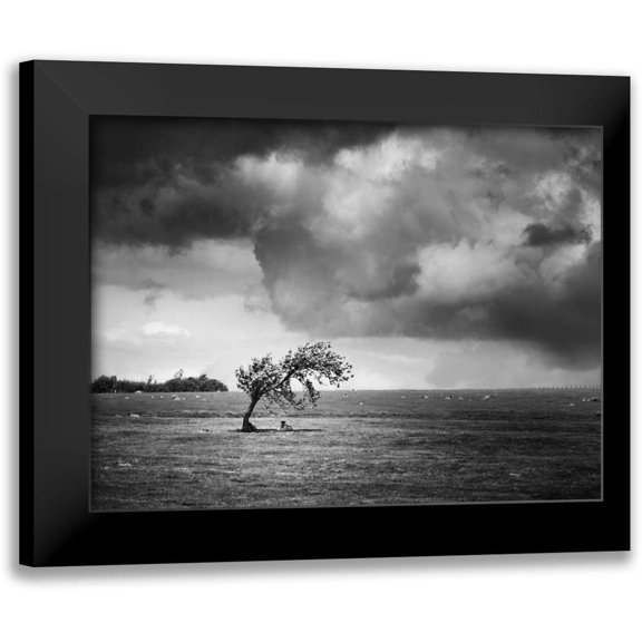 Henson, Martin 18x15 Black Modern Framed Museum Art Print Titled - Misty Weather V
