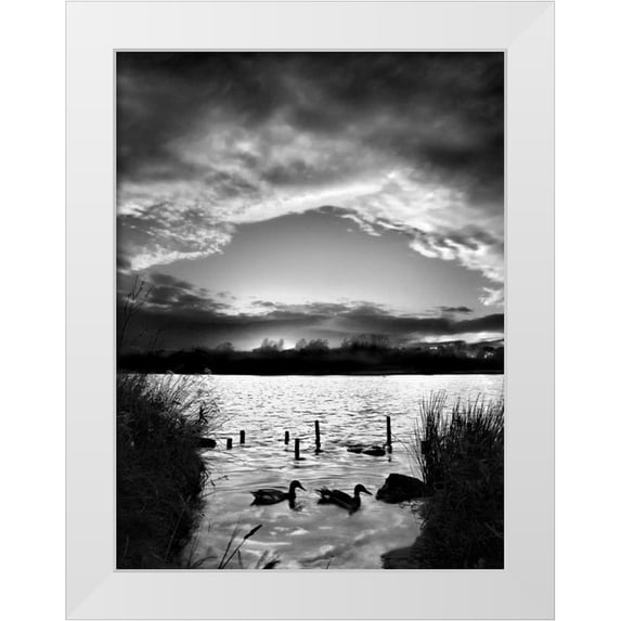 Henson, Martin 19x24 White Modern Wood Framed Museum Art Print Titled - Swimming Pool