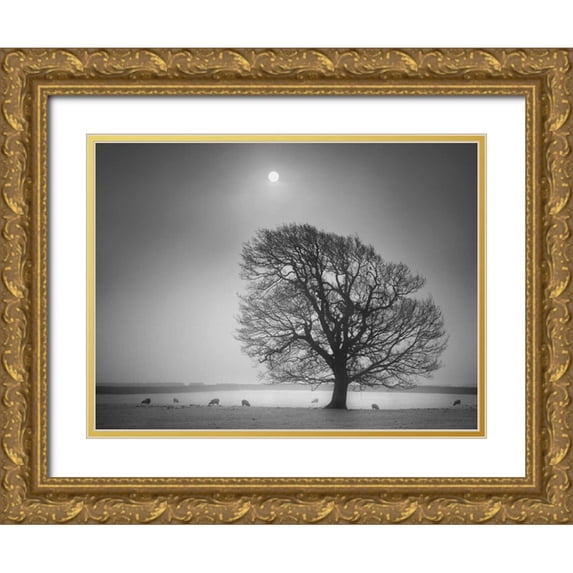 Henson, Martin 24x19 Gold Ornate Wood Framed with Double Matting Museum Art Print Titled - Evening Light II
