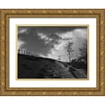 thumbnail image 1 of Henson, Martin 24x19 Gold Ornate Wood Framed with Double Matting Museum Art Print Titled - Lonely Path II, 1 of 4