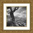 thumbnail image 1 of Henson, Martin 26x26 Gold Ornate Wood Framed with Double Matting Museum Art Print Titled - Outcrop II, 1 of 4