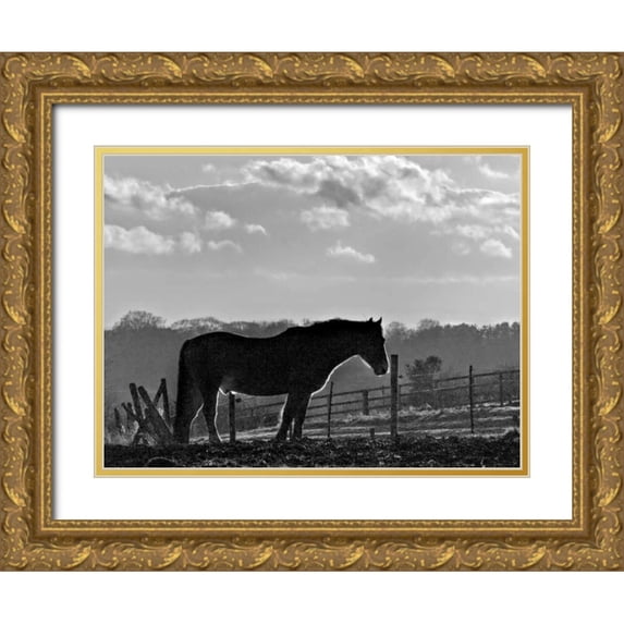 Henson, Martin 32x25 Gold Ornate Wood Framed with Double Matting Museum Art Print Titled - Evening Light III