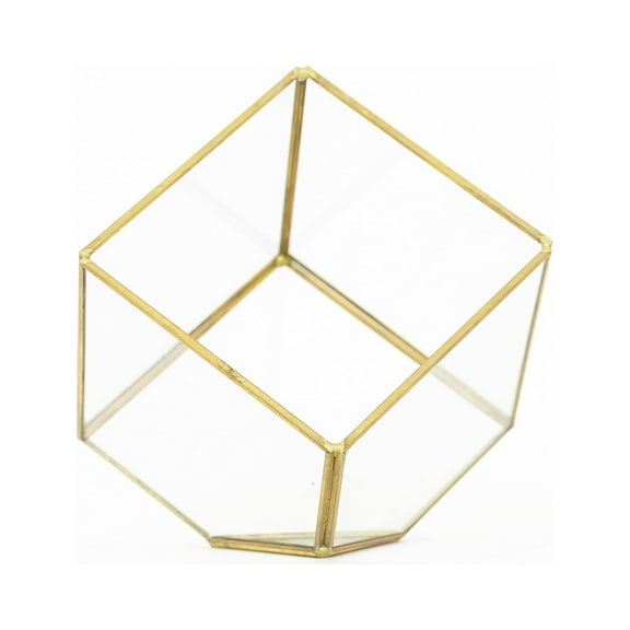 Heptahedron Geometric Glass Terrarium - Air Plant Tillandsia Holder - Home and Garden Decor Plant Pot - Easy Care Indoor and Outdoor Plant Container