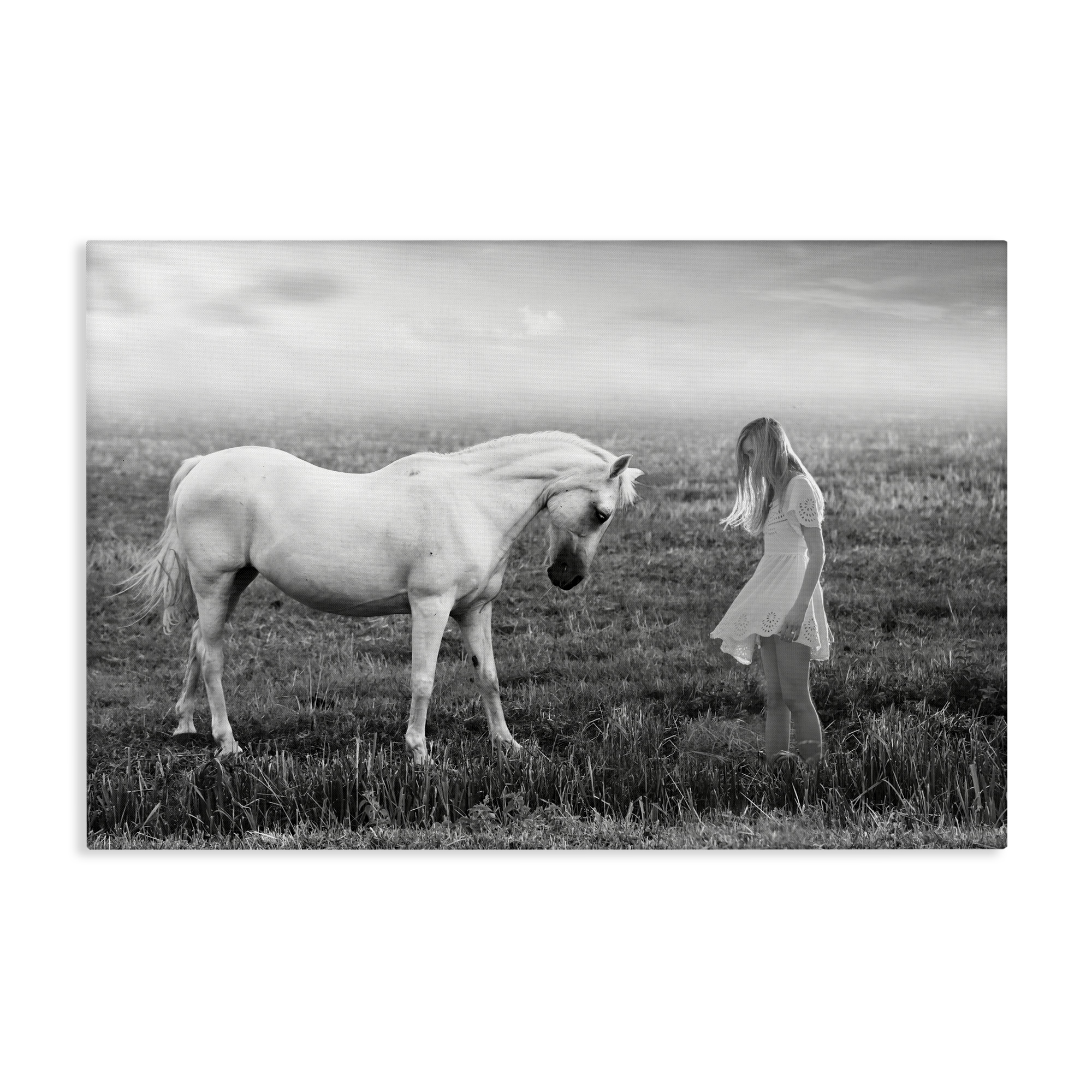 Her White Horse Canvas Wall Art, design by Ata Alishahi