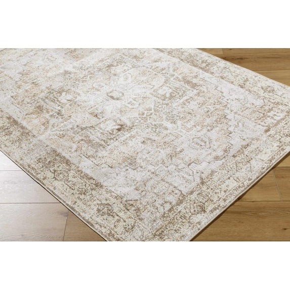 Hera Traditional Area Rug - Light Silver, Ash, Warm Gray - 5'3" x 7'
